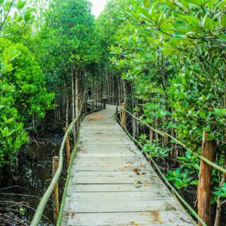 AP 09 | SPIRIT OF THE LAND & COASTAL WISDOM