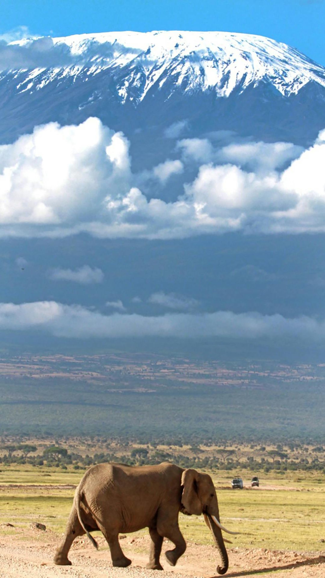 pexels-marri-shyam-366418-7463697