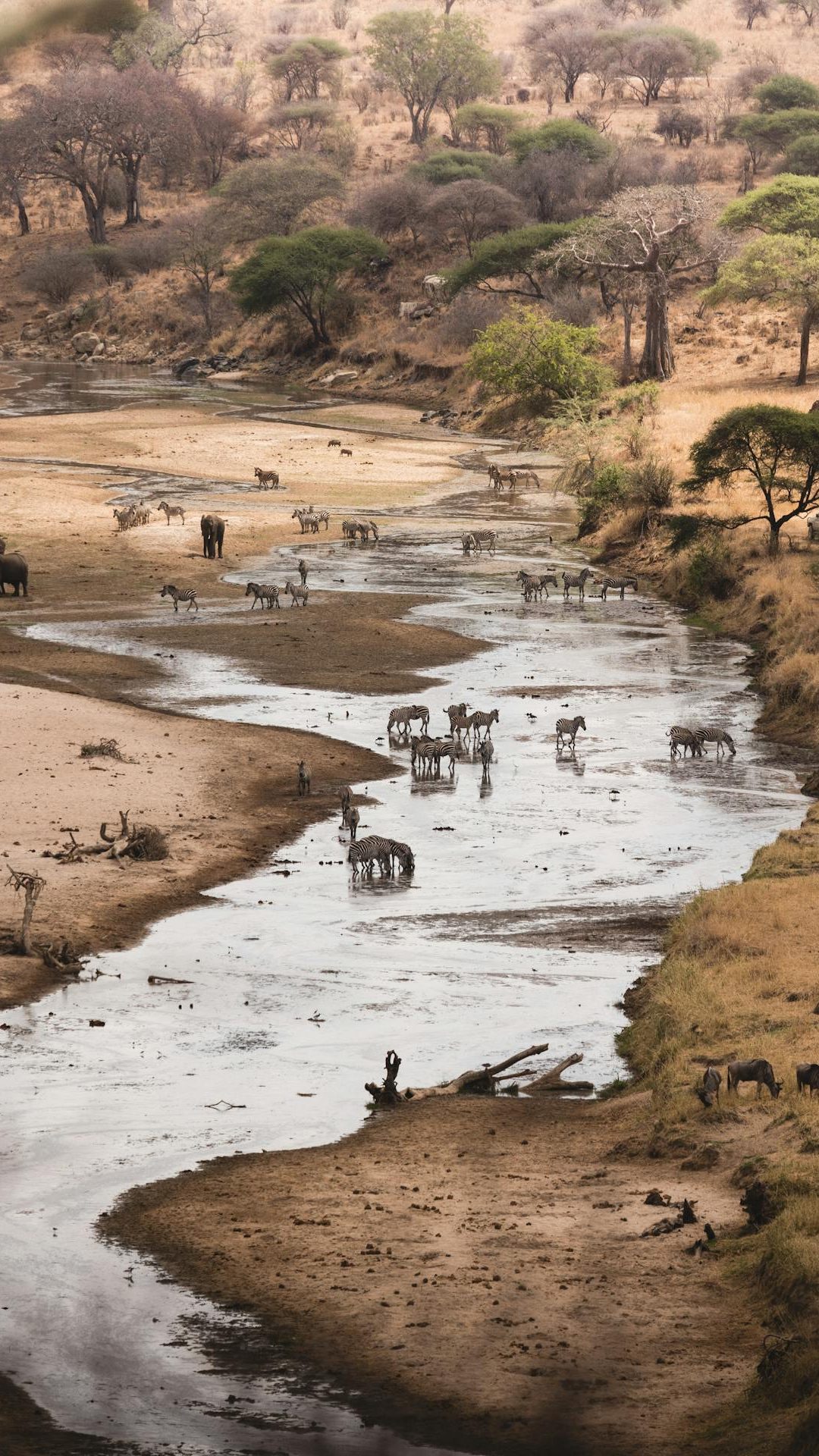 pexels-tomas-malik-793526-10768835