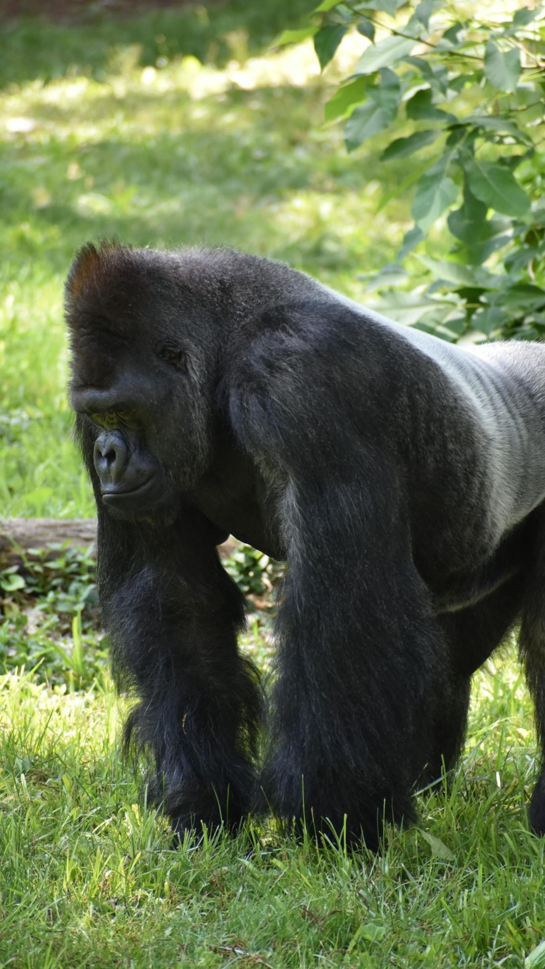 pexels-wr-heustis-310270240-17058017